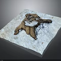 Plant Root Structure on White Paper with Gray Background and Textured Damaged Wood