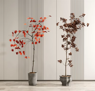 Decorative Bonsai Plants with Red and Maroon Leaves in Gray Pots Against Striped Wall 3d model
