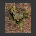 Decorative Wooden Stump Featuring Green Moss and Textured Stone Base