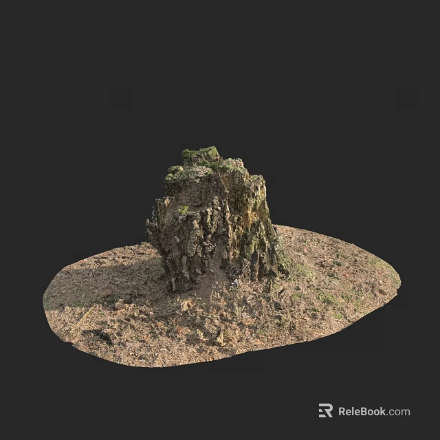 Garden Landscape With Weathered Tree Stump Covered in Moss and Surrounding Dirt 3d model 