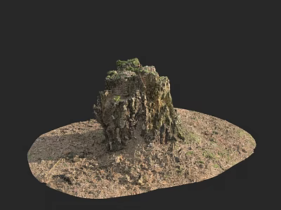 Garden Landscape With Weathered Tree Stump Covered in Moss and Surrounding Dirt 3d model