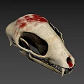 Detailed Animal Skull With Sharp Fangs And Red Marks On Bone Surface