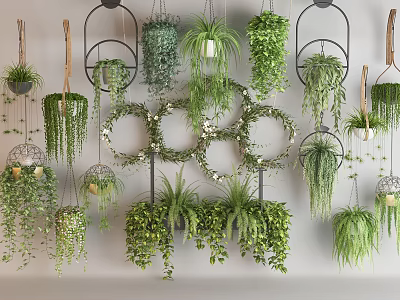 Beautiful Hanging Basket Plants With Lush Green Foliage For Indoor Decoration 3d model