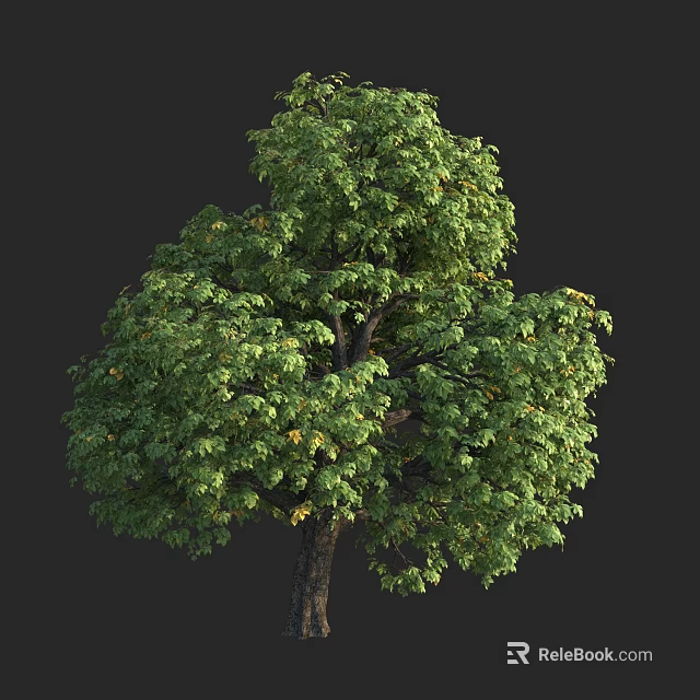 Lush Arbor With Dense Green Canopy And Tall Strong Trunk 3d model