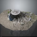 Natural Wooden Stone Tree Stump with Exposed Roots and Small Plants on Soil