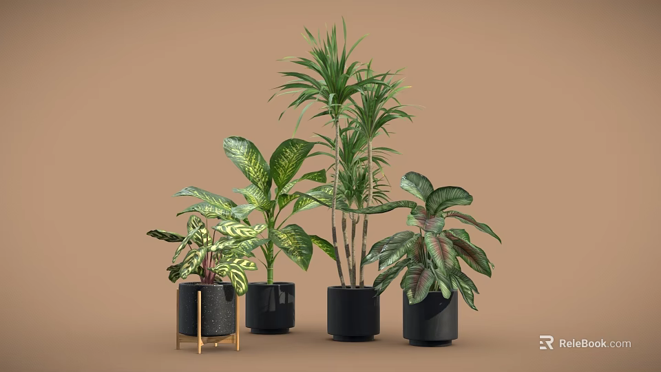 Indoor Potted Plants With Various Green Leafy Types In Black Pots For Home Decor 3d model 