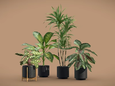 Indoor Potted Plants With Various Green Leafy Types In Black Pots For Home Decor 3d model