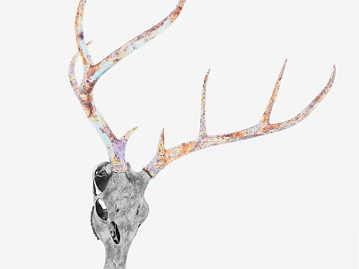 Artistic Animal Wall Decor Featuring Deer Skull With Colorful Antlers for Home Interior Decoration 3d model