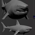 Modern Shark Great White Shark 3d model
