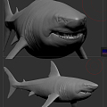 Modern Shark Great White Shark 3d model