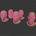 Male Bald Head 3D Models Displayed From Multiple Angles With Realistic Facial Features