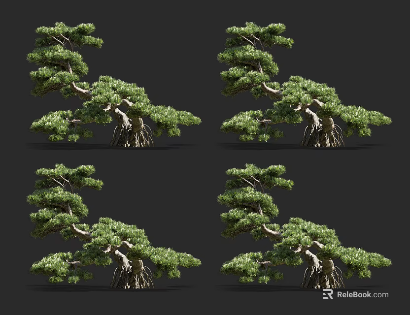 Arbor Trees Displaying Twisted Trunks And Lush Green Foliage In Multiple Angles 3d model 