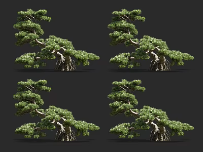 Arbor Trees Displaying Twisted Trunks And Lush Green Foliage In Multiple Angles 3d model