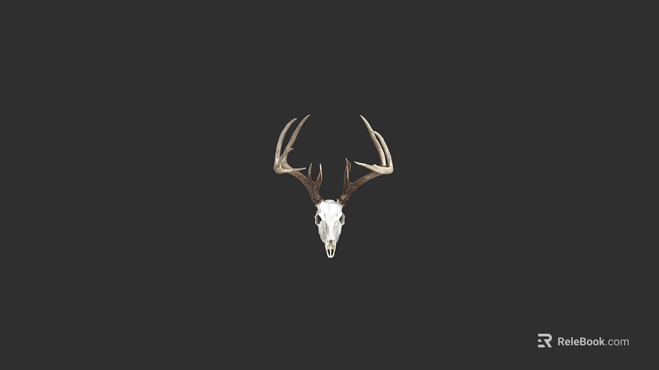 Dining Chair Featuring Deer Antler Design Against Black Background 3d model 