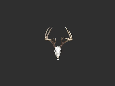 Dining Chair Featuring Deer Antler Design Against Black Background 3d model