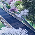 Beautiful Park Landscape With Scenic Pathway Colorful Flowering Trees And Wooden Benches