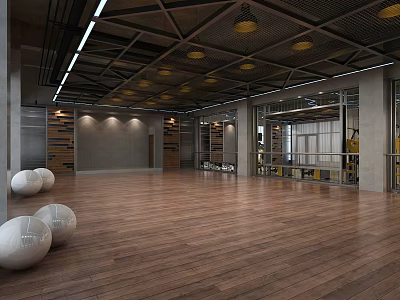 Spacious Modern Fitness Studio With Wooden Flooring White Exercise Balls And Ceiling Lights 3d model