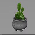 Green Cactus Plant with Yellow Dots in White Pot with Black Spots and Three Feet