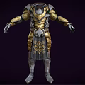 Fantasy Style Golden And Silver Armor With Ornate Patterns Design 3d model