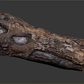 Natural Wood Stone Material Log Featuring Rustic Bark Texture And Solid Details