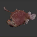Pink Anglerfish With Luminous Lure And White Spots On Dark Background