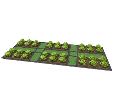 Modern Vegetable Garden Planting Vegetable 3d model
