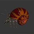 Aquatic Hermit Crab Displaying Orange Brown Striped Shell Long Antennae Spotted Legs On Shiny Background