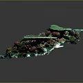 Vibrant Marine Plants On Square Coral Reef Model With Green Red Brown Hues