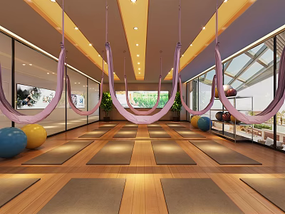 Bright Aerial Yoga Studio With Hammocks Yoga Mats And Colorful Exercise Balls On Wooden Floor 3d model