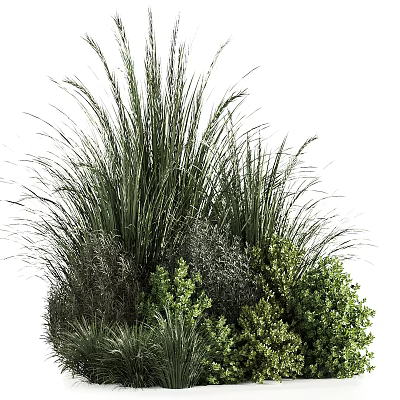 Lush Green Shrubs with Various Foliage for Outdoor Garden Landscaping Design 3d model