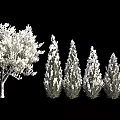 Various Arbor Trees With Different Shapes Including Broad Crown And Conical Forms 3d model