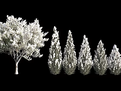 Various Arbor Trees With Different Shapes Including Broad Crown And Conical Forms 3d model