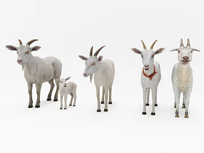 Modern sheep 3d model Modern sheep 3d model