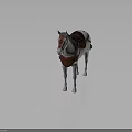 Detailed White Horse With Red Saddle Bridle And Decorative Saddle Pad Model