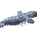 Flying Owl With Blue And Gray Feathers Outstretched Wings And Sharp Claws