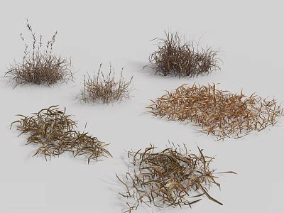 Different Clumps of Dried Grasses in Various Natural Shapes and Textures 3d model