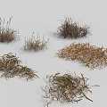 Different Clumps of Dried Grasses in Various Natural Shapes and Textures