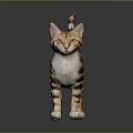Spotted Brown And White Cat Standing On Gray Background With Yellow Eyes