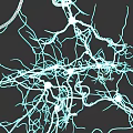 Brain Neural Network Structure With Interconnected Neurons And Synaptic Connections In Detail 3d model