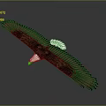 Bald Eagle Spreading Wings in Flight with Brown Feathers White Head 3d model