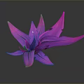 Glossy Pink Flower With Long Slender Petals On Dark Background And Reflection