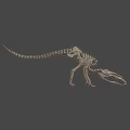 Game Movie Character Skeleton Structure Fantasy Creature With Detailed 3D Design