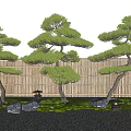 Traditional Japanese Garden Featuring Sculpted Pine Trees Bamboo Fence And Stone Lanterns