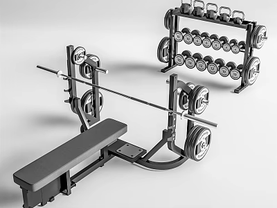 Complete Gym Equipment Set With Weight Bench Barbell Dumbbells And Dumbbell Rack 3d model