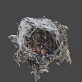 Natural Wild Bird Nest Constructed With Twigs Dry Grass And Small Debris