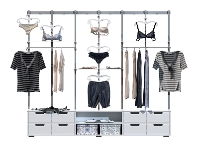 Clothing Display Rack with Bras T-shirts Shorts Hanging Dresses and Storage Drawers 3d model