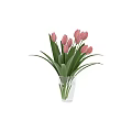 Vibrant Orange Tulips in Clear Glass Vase with Lush Green Leaves