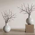 White Ceramic Vases With White Flowering Branches On Wooden Cubes Against Light Wall