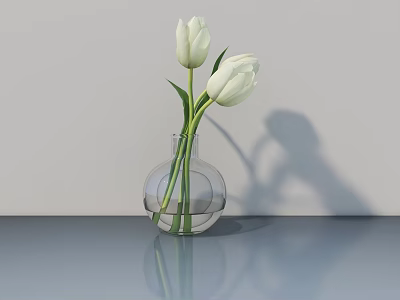 Transparent Glass Vase With White Tulips On Gray Tabletop And Background Wall 3d model