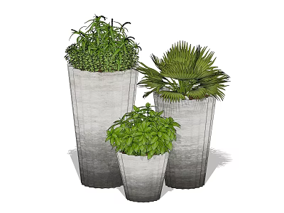 Three Bonsai Potted Plants in Gray Pots with Green Foliage and Different Sizes 3d model
